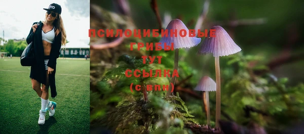 ECSTASY Балабаново