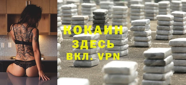 мяу мяу мука Баксан