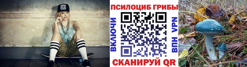 сколько стоит  Спас-Клепики  Псилоцибиновые грибы прущие грибы 